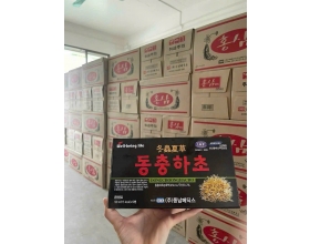 NƯỚC ĐÔNG TRÙNG HẠ THẢO HÀN QUỐC 