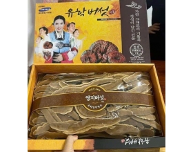 NẤM LINH CHI THÁI LÁT HIỆU CÔ GÁI - HÀN QUỐC