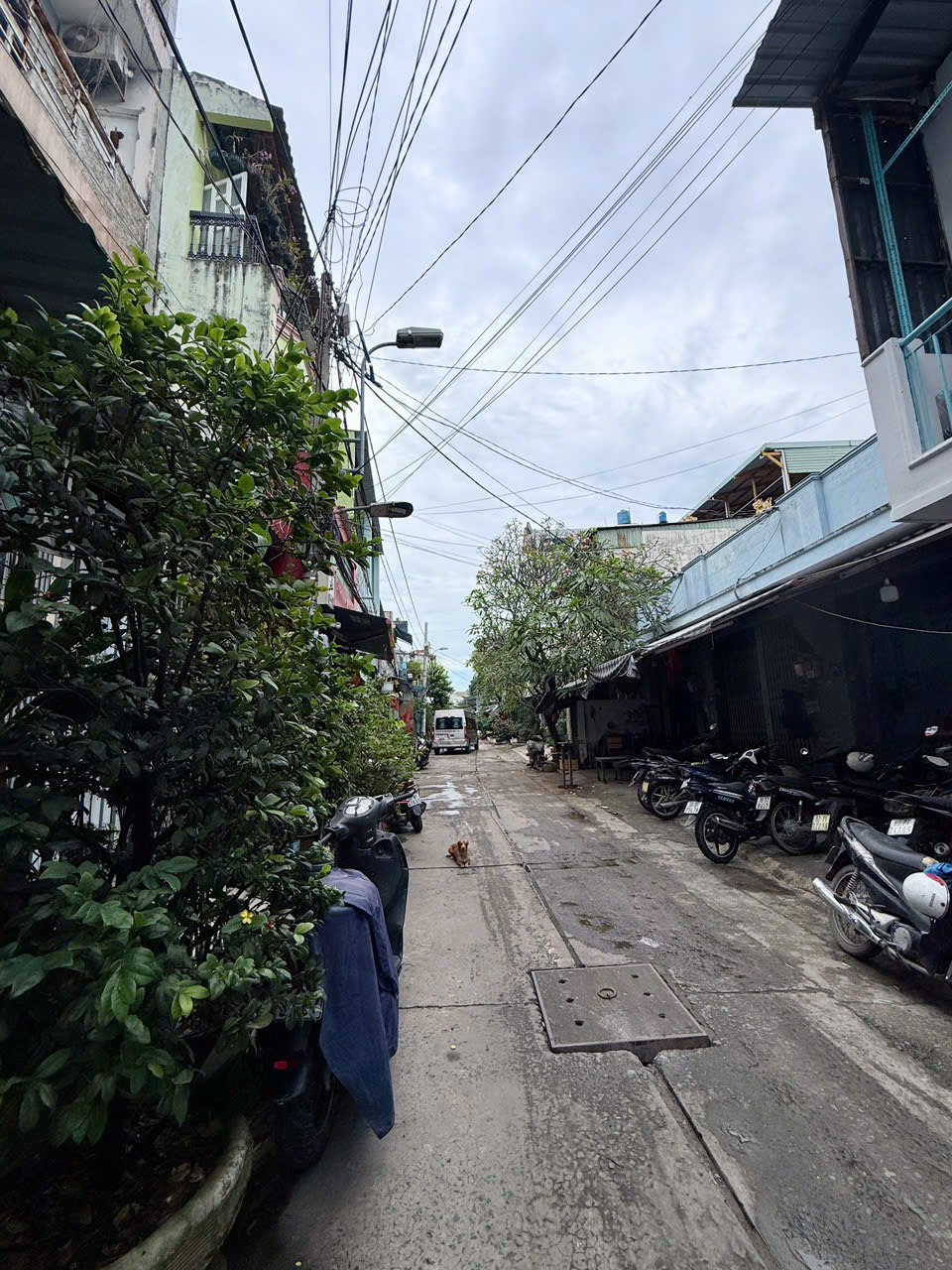 HIẾM - NHÀ 3 TẦNG MỚI SỬA VÀO Ở NGAY - VÀI MÉT RA ĐƯỜNG KÊNH NƯỚC ĐEN - MẶT TIỀN ĐƯỜNG XE HƠI THÔNG - GIÁ CHỈ 2.2 TỶ - M0189