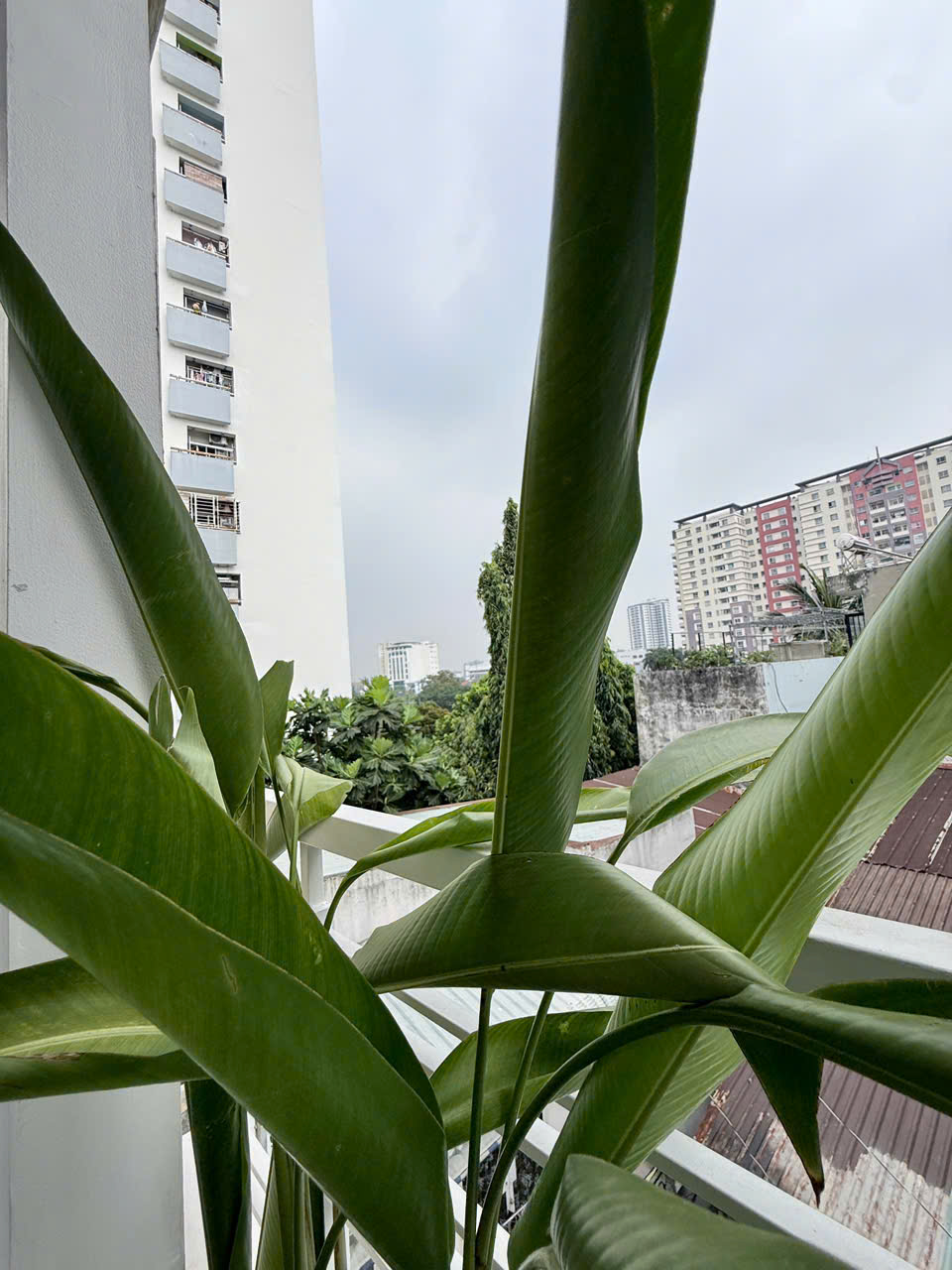 KHU VIP PHÚ THỌ HOÀ - SÁT MẶT TIỀN - 4 TẦNG BTCT MỚI ĐẸP - 72M2 - 4x18M - SỔ ĐẸP HOÀN CÔNG ĐỦ- CHỈ 6.99 TỶ - M0210