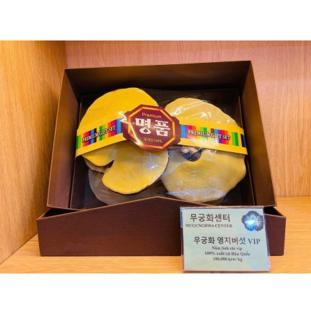 Nấm Linh Chi Tiến Vua Hàn Quốc MUGUNGHWA