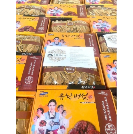 NẤM LINH CHI THÁI LÁT HIỆU CÔ GÁI - HÀN QUỐC