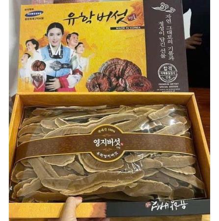 NẤM LINH CHI THÁI LÁT HIỆU CÔ GÁI - HÀN QUỐC