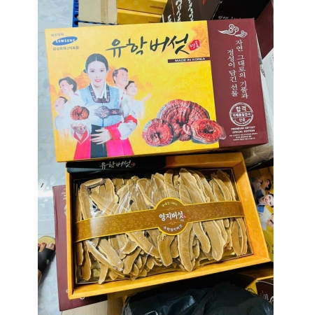 NẤM LINH CHI THÁI LÁT HIỆU CÔ GÁI - HÀN QUỐC